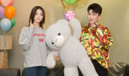 娱乐圈吃瓜拼图,吃瓜群众眼中的明星幕后故事